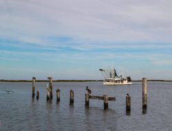 Lafayette Car Accident Attorney Your Trusted Legal Ally