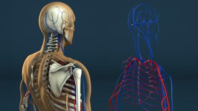 Human Resource Systems For Small Business Made Simple