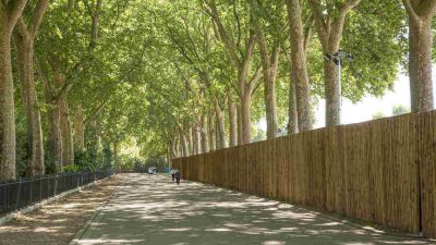 Smart Shield