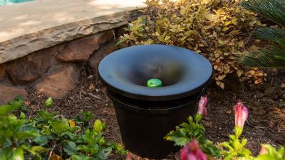 Mosquito Control Treatments - Pinellas County