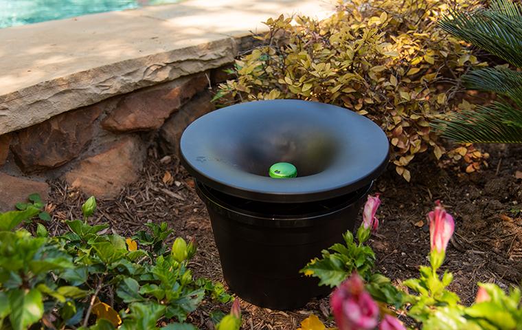 Mosquito Control Treatments - Pinellas County